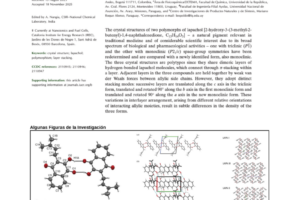 Publicacion_cient_revistainternacional-Ayolas