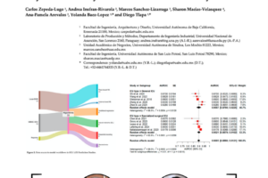 publicacion_art_Insfran_arevalos
